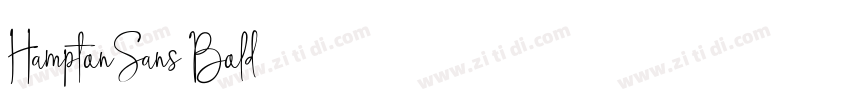 HamptonSans Bold字体转换
